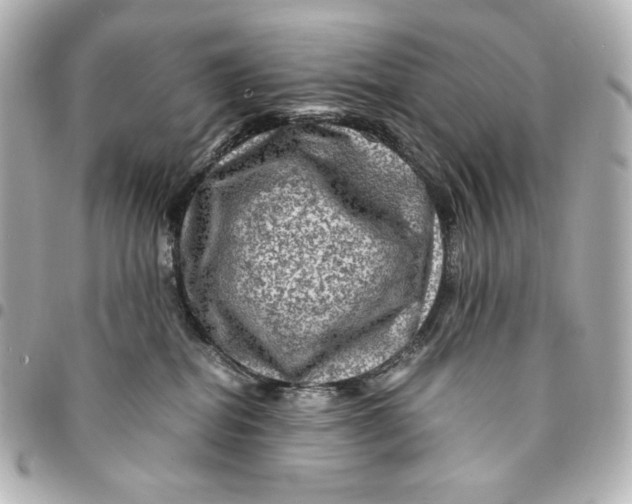 X0000094950282200712201144