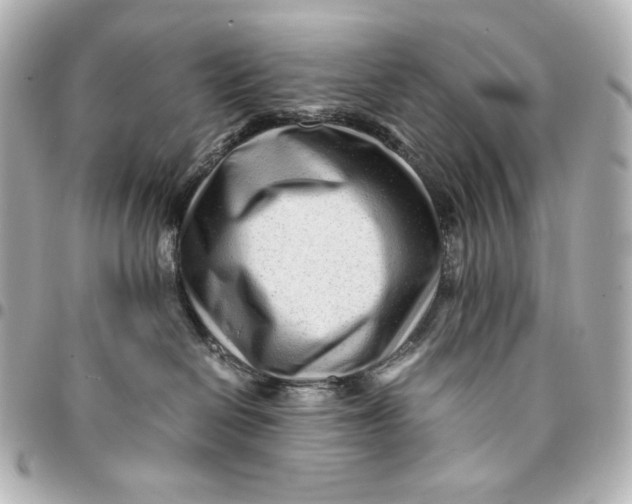 X0000094950286200712201144