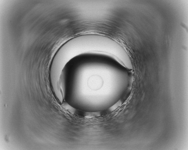 X0000094950289200712201144