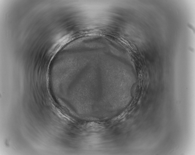 X0000094950290200712201144