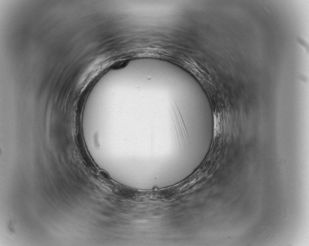 X0000094950291200712201144