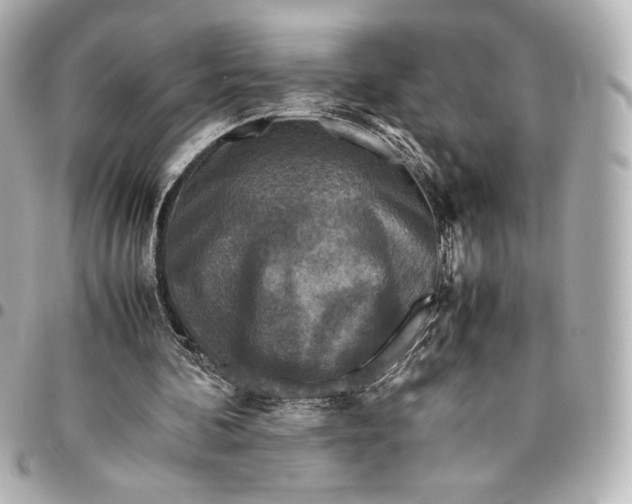 X0000094950292200712201144