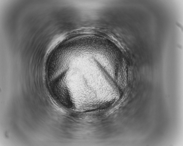 X0000094950293200712201144