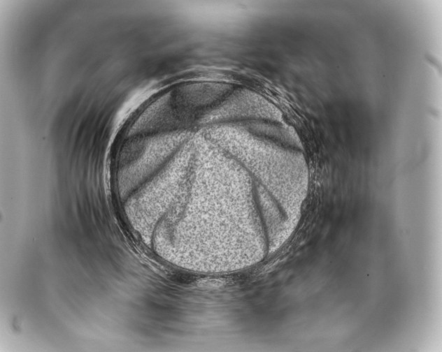 X0000094950294200712201144