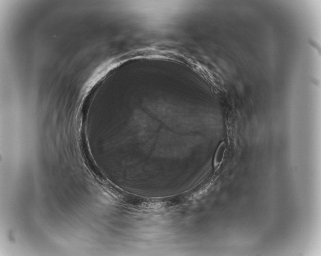 X0000094950295200712201144