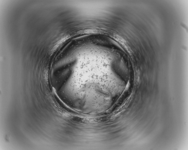 X0000094950297200712201144