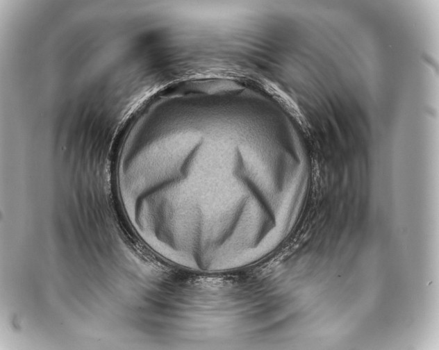 X0000094950298200712201144