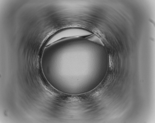 X0000094950300200712201144