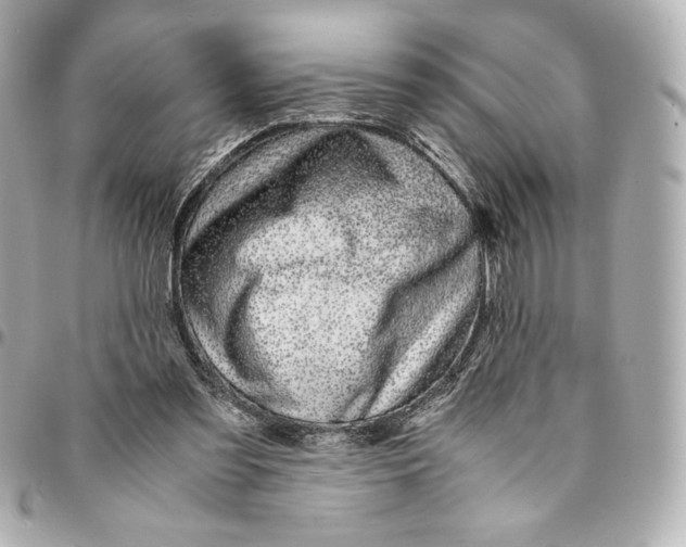 X0000094950301200712201143