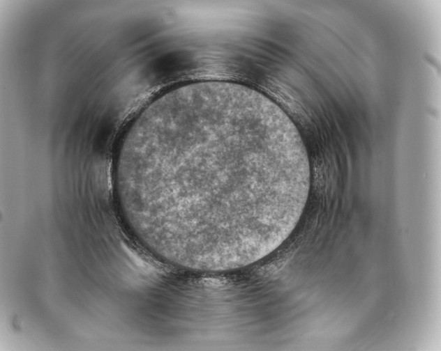 X0000094950302200712201143