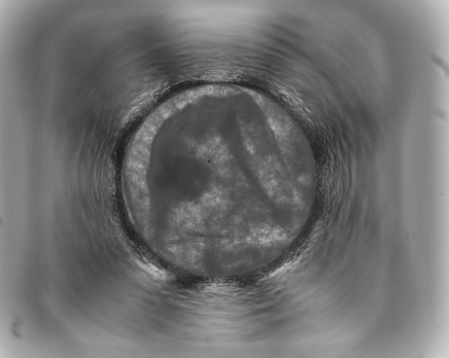 X0000094950303200712201143