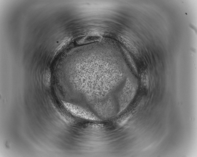 X0000094950304200712201143