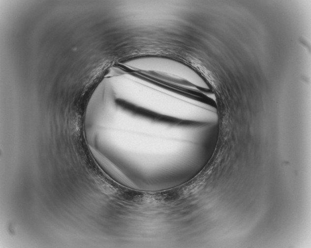 X0000094950305200712201143