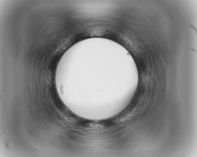 X0000094950311200712201143