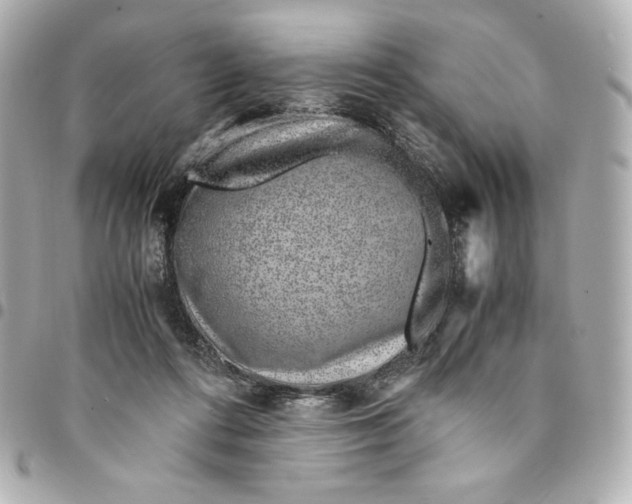 X0000094950312200712201143