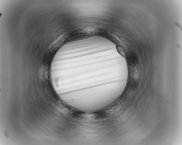 X0000094950313200712201143