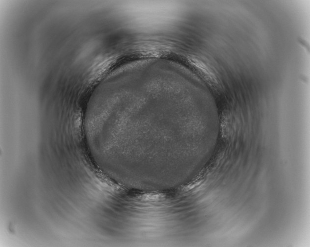 X0000094950314200712201143