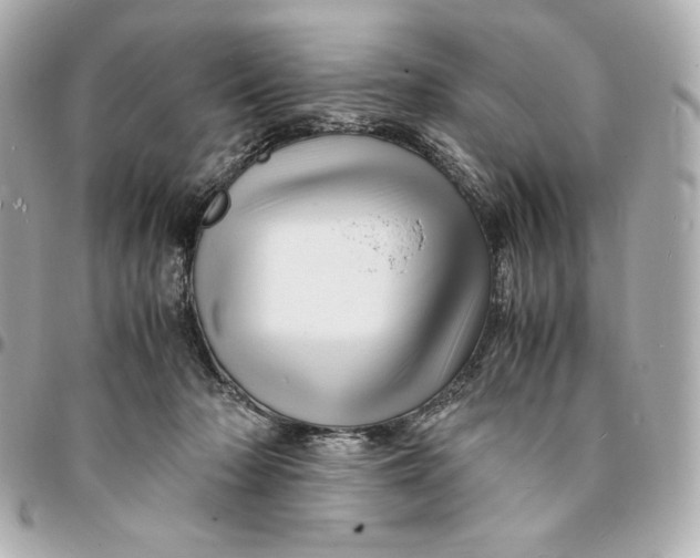 X0000094950318200712201143