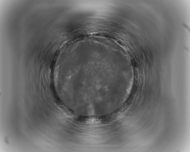 X0000094950319200712201143