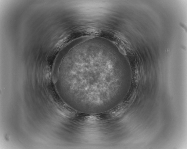 X0000094950320200712201143