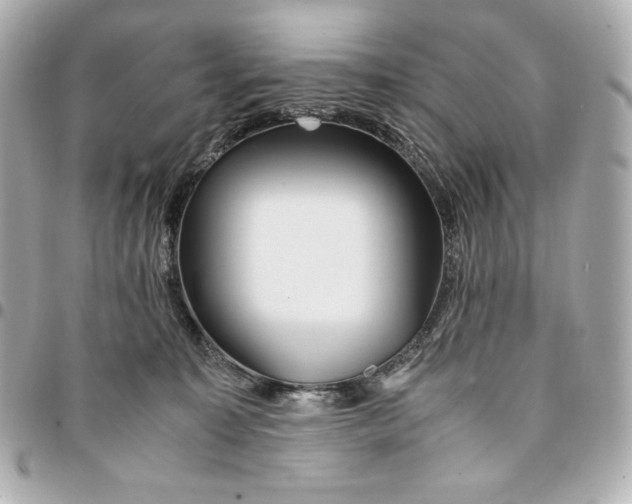 X0000094950323200712201143