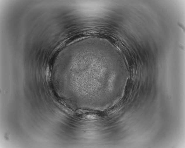 X0000094950324200712201143