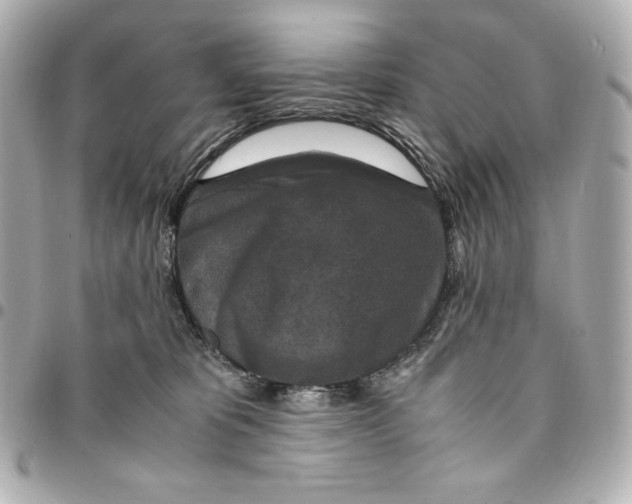 X0000094950325200712201143