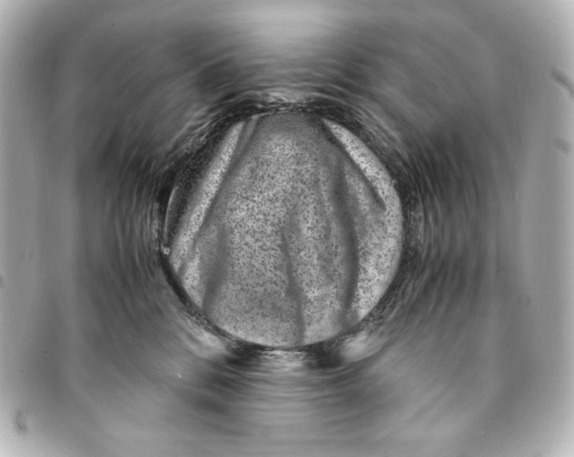 X0000094950328200712201143