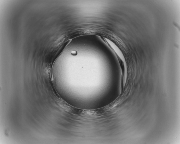 X0000094950329200712201143