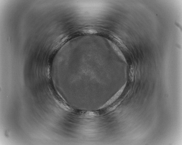 X0000094950330200712201143