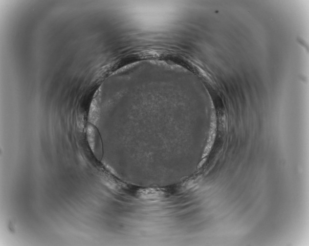 X0000094950331200712201143