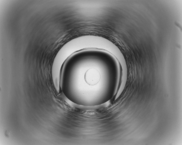 X0000094950332200712201143