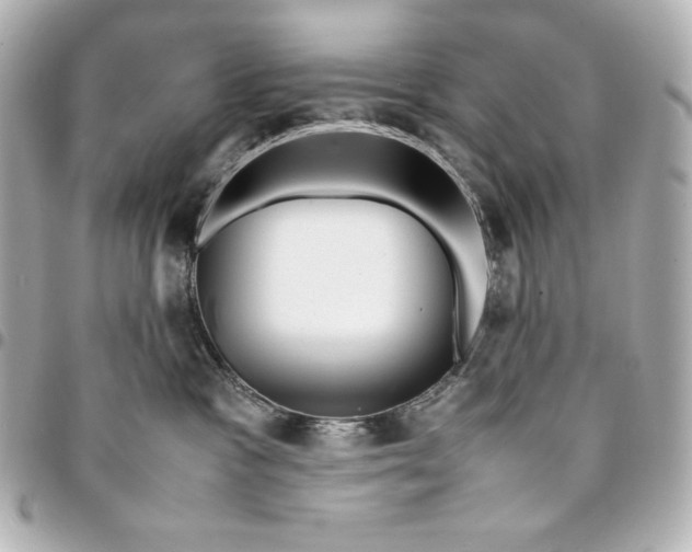 X0000094950333200712201143