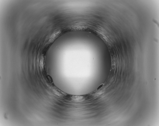 X0000094950334200712201143