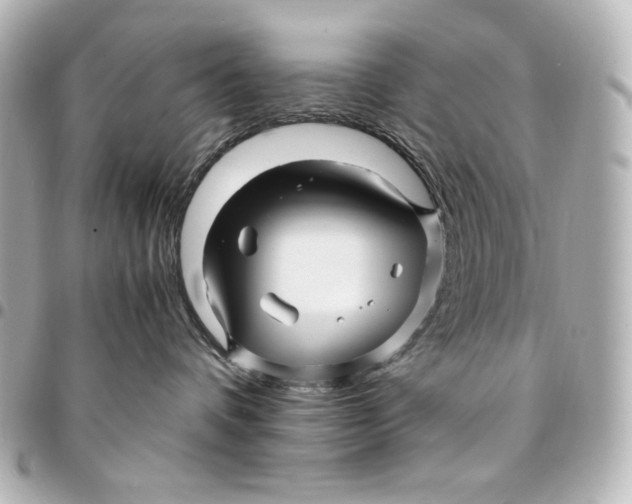 X0000094950336200712201143