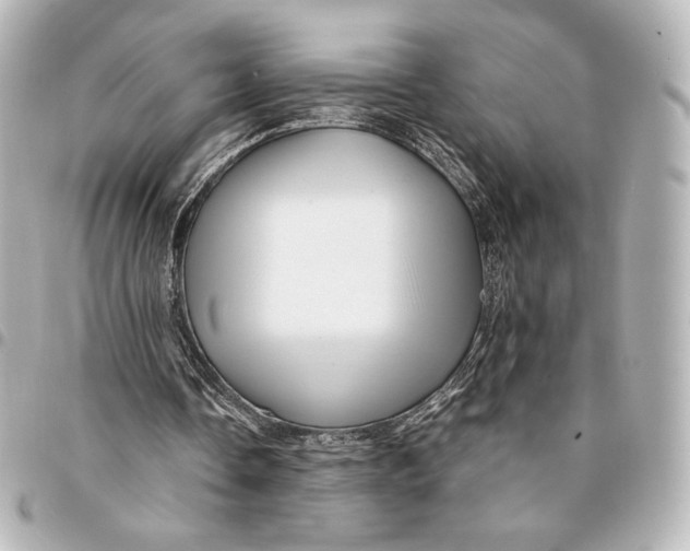 X0000094950338200712201142