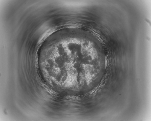 X0000094950339200712201142