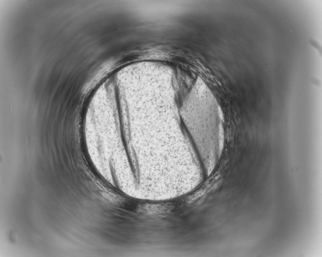 X0000094950341200712201142