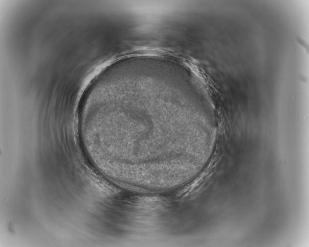 X0000094950342200712201142