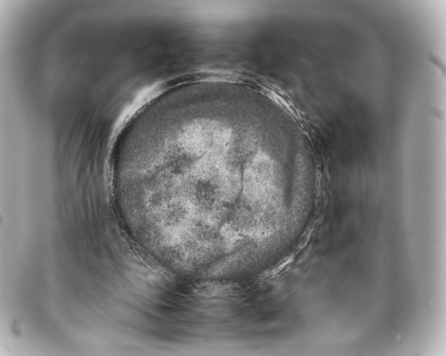 X0000094950343200712201142