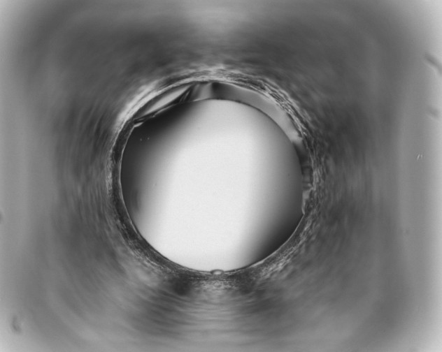 X0000094950344200712201142