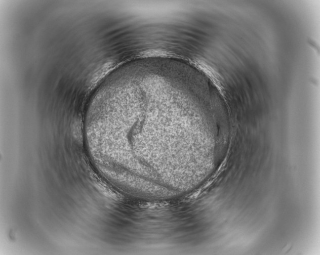 X0000094950345200712201142