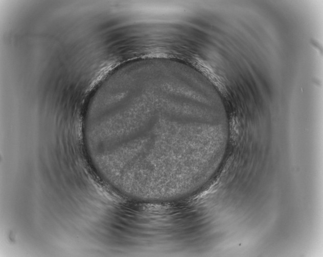 X0000094950347200712201142