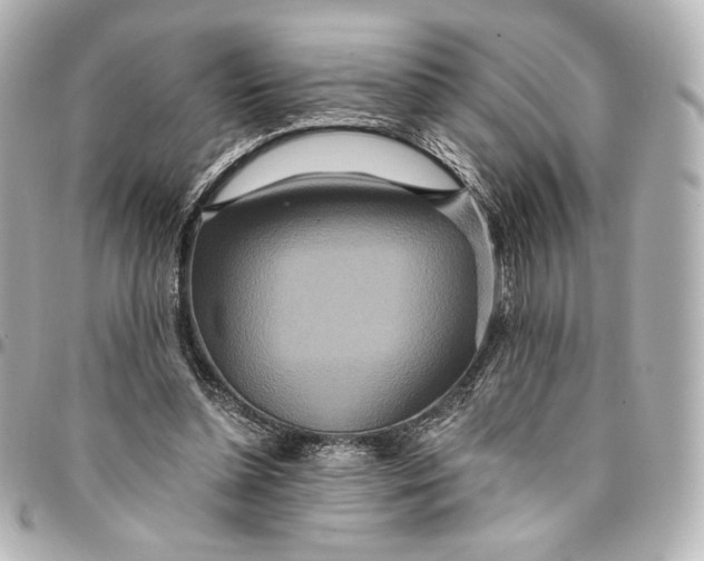 X0000094950348200712201143