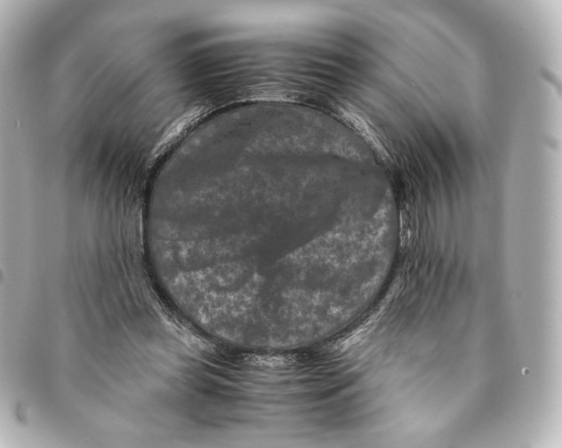 X0000094950349200712201143