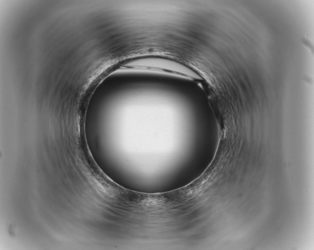 X0000094950350200712201143