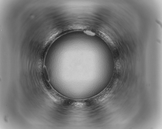 X0000094950352200712201143