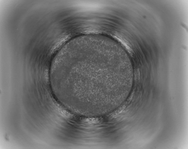 X0000094950353200712201143