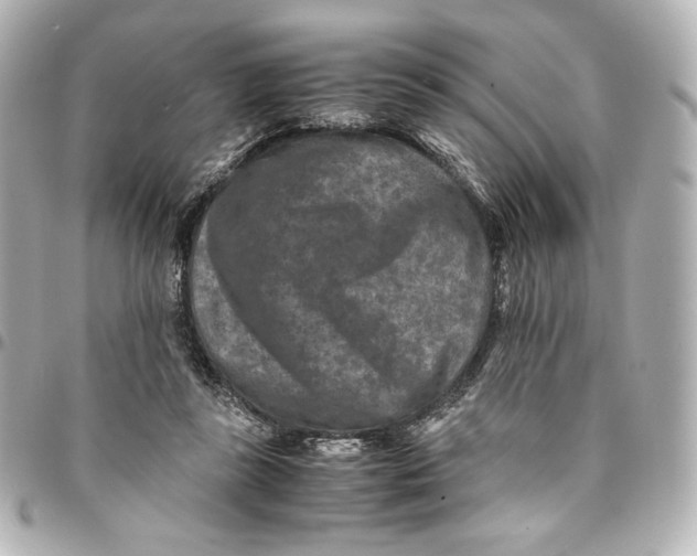 X0000094950355200712201143