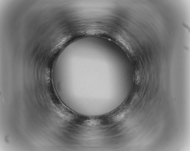 X0000094950356200712201143